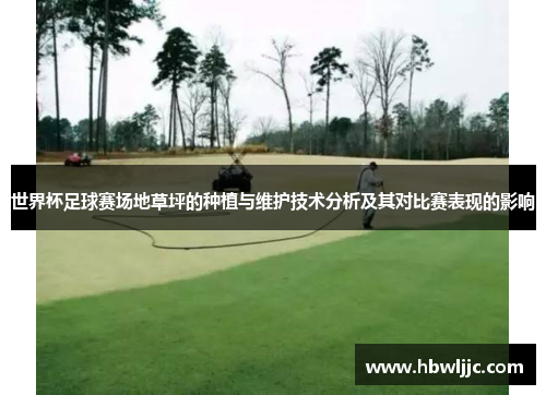 世界杯足球赛场地草坪的种植与维护技术分析及其对比赛表现的影响
