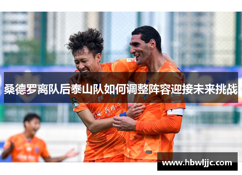 桑德罗离队后泰山队如何调整阵容迎接未来挑战